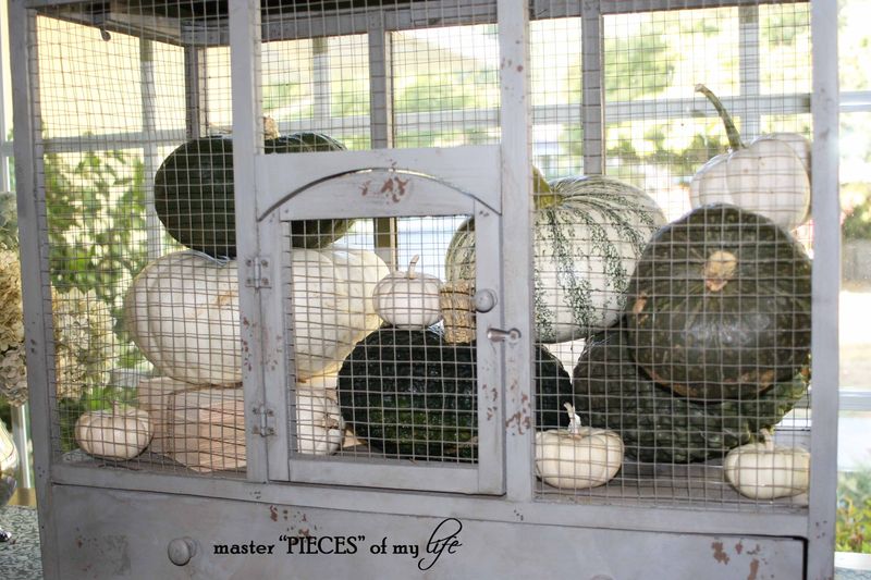 Pumpkin birdcage 3