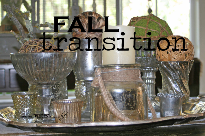Fall transition1 Fall transition1