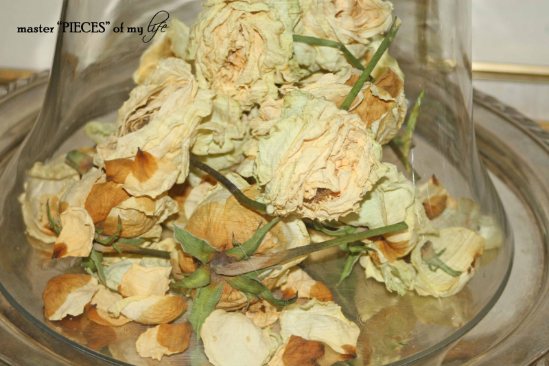 Cloches & dried flowers2