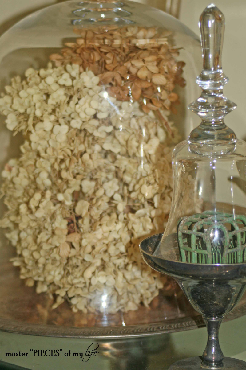 Cloches & dried flowers3