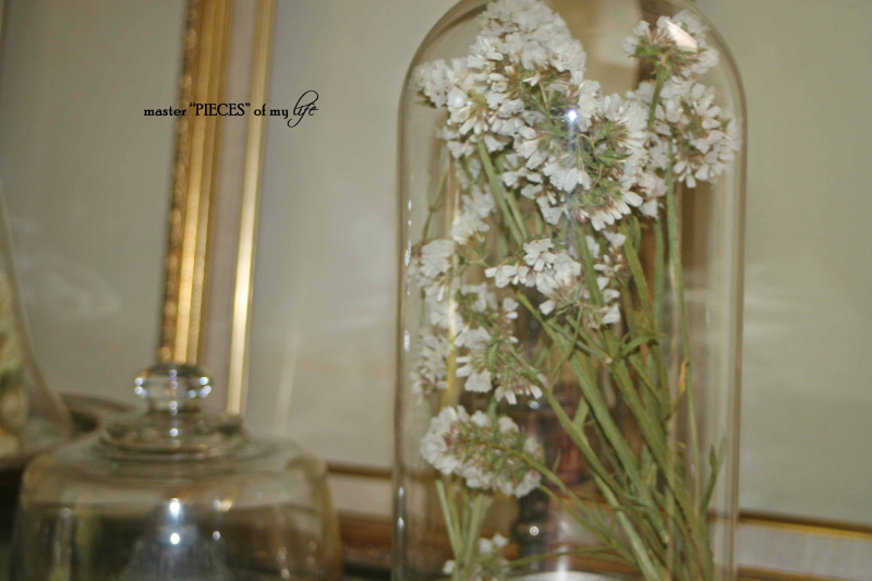 Cloches & dried flowers5