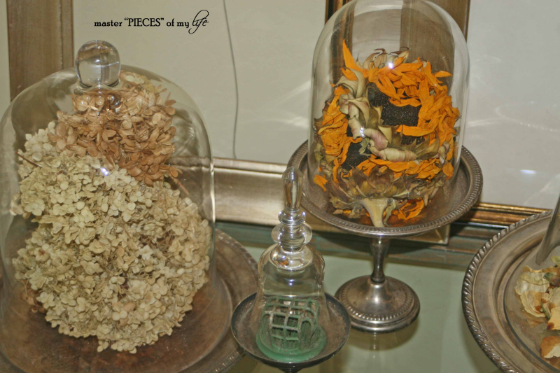 Cloches & dried flowers9