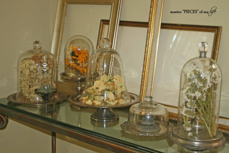 Cloches & dried flowers10