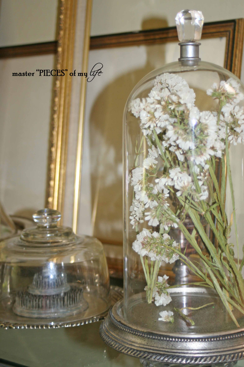 Cloches & dried flowers15