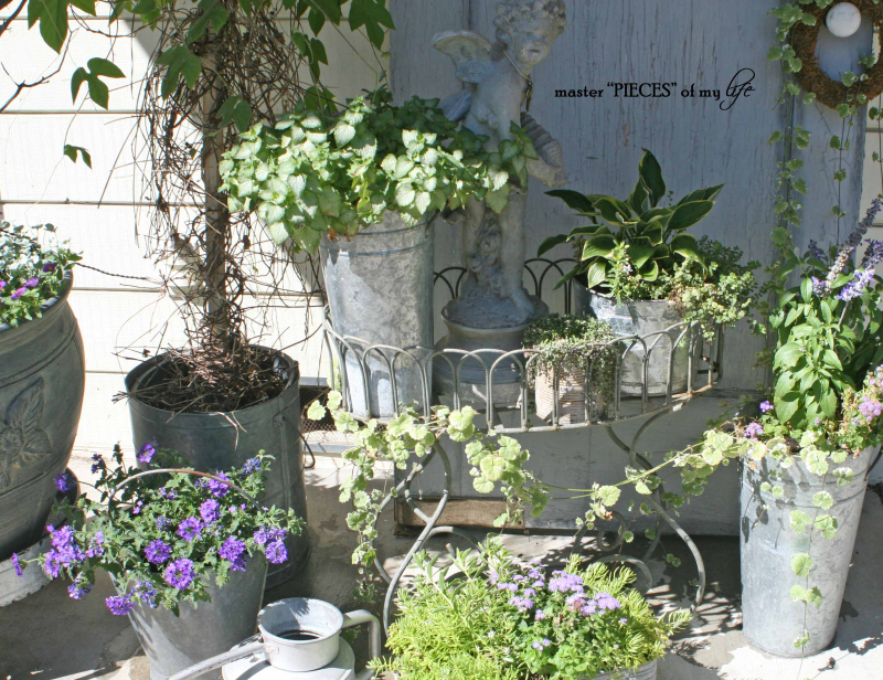 Gray container gardening5