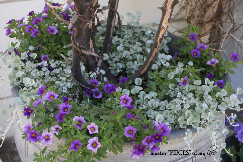 Gray container gardening6