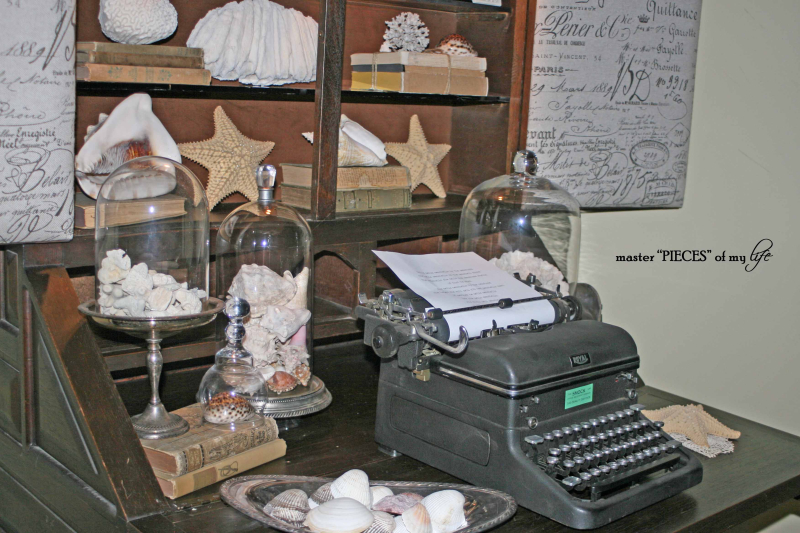 Secretary seashells 4