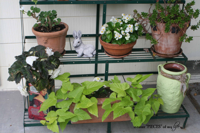 Container gardening 3 Container gardening 3