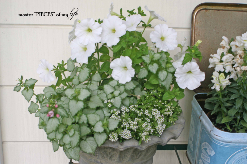 Container gardening 5 Container gardening 5