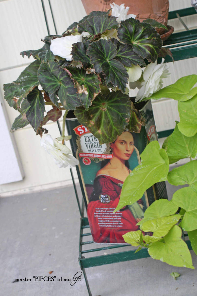 Container gardening 7 Container gardening 7