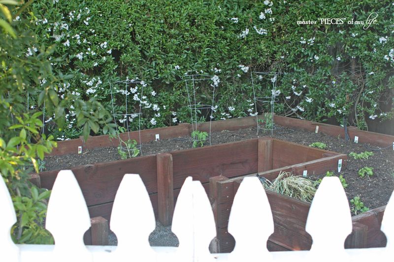 benefits to vegetable garden