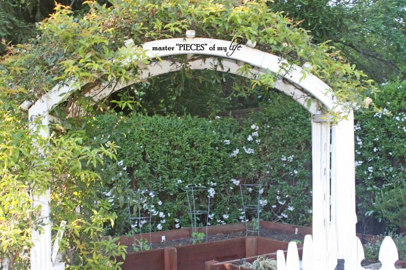 benefits to vegetable garden