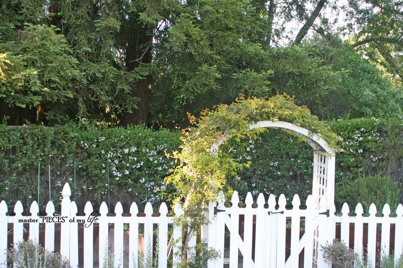 benefits to vegetable garden