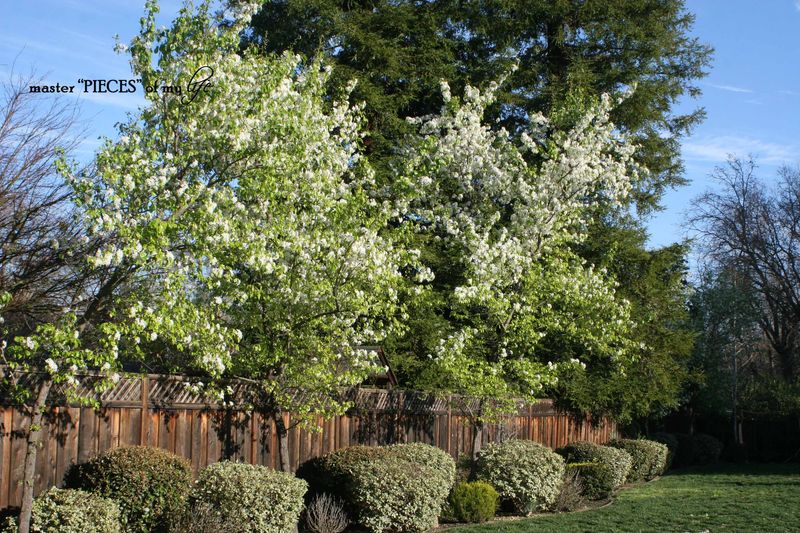 Spring has sprung 1 Spring has sprung 1