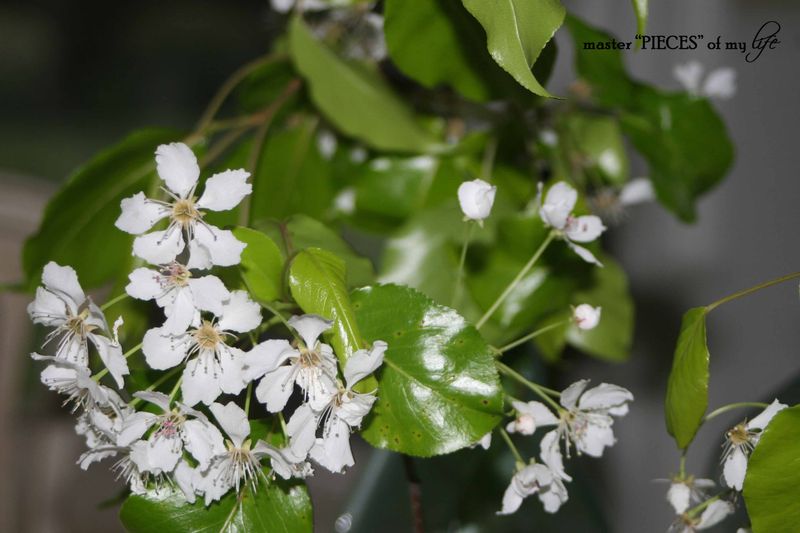 Spring has sprung 5 Spring has sprung 5