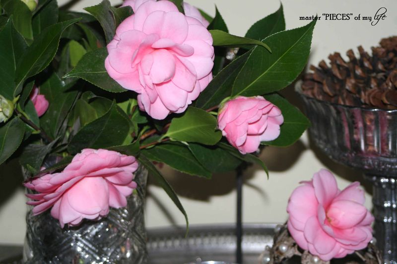 Spring has sprung 7 Spring has sprung 7