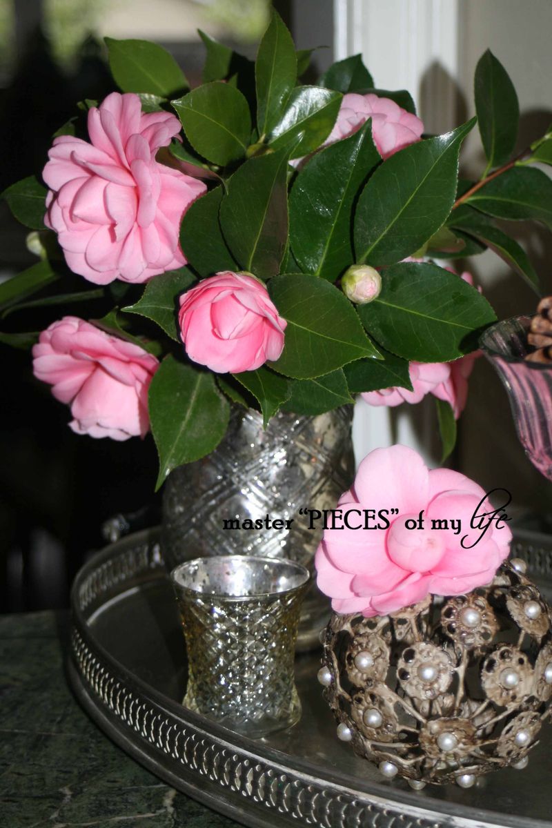 Spring has sprung 10 Spring has sprung 10