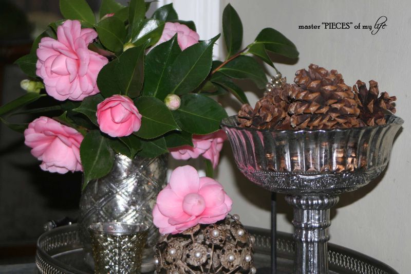 Spring has sprung 11 Spring has sprung 11