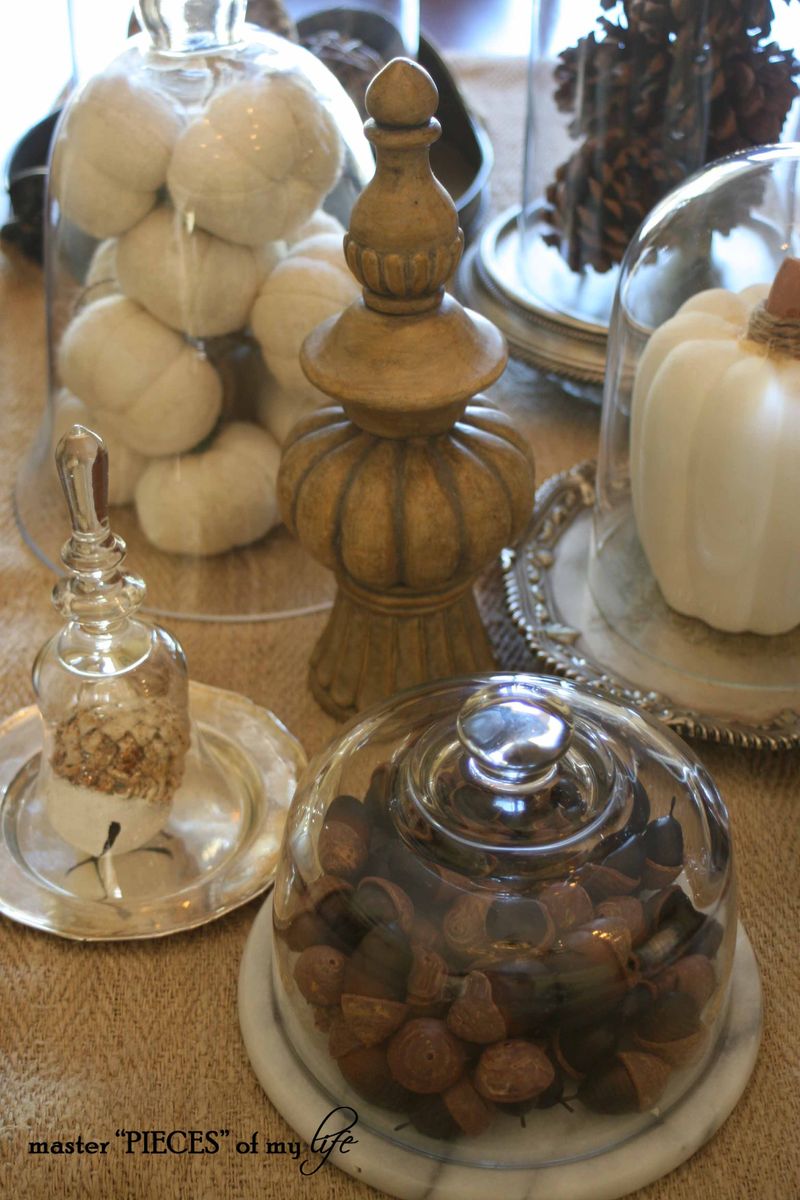 Glass cloche vignette fall 7