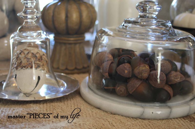 Glass cloche vignette fall 8