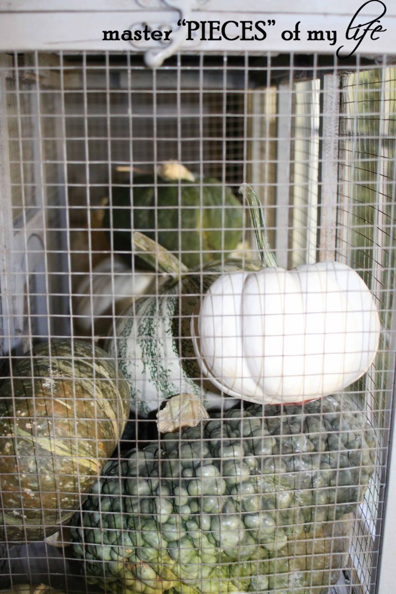 Pumpkin birdcage 5 Pumpkin birdcage 5