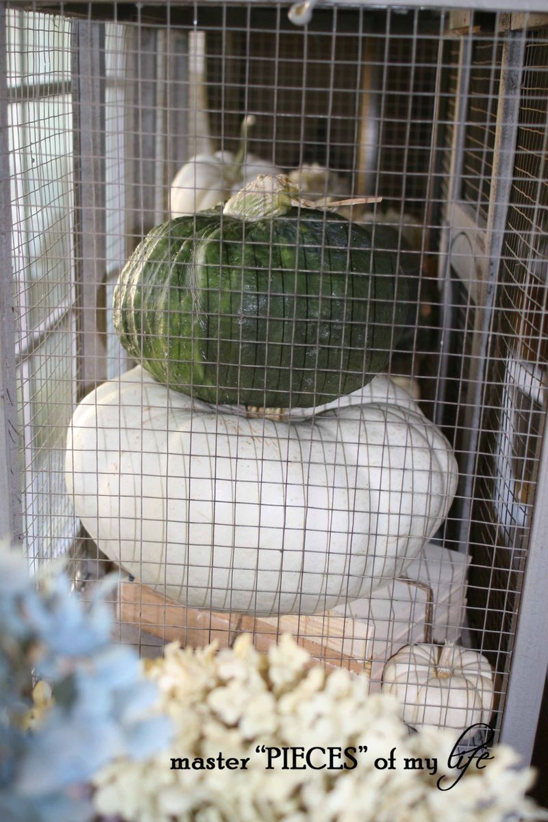 Pumpkin birdcage 6 Pumpkin birdcage 6