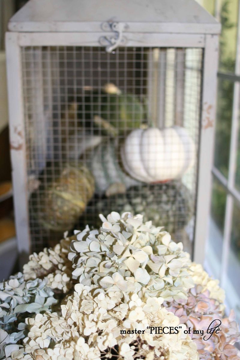 Pumpkin birdcage 7 Pumpkin birdcage 7