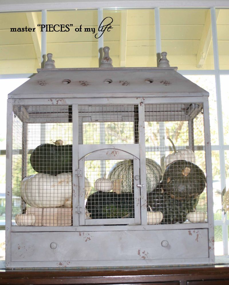 Pumpkin birdcage 8 Pumpkin birdcage 8