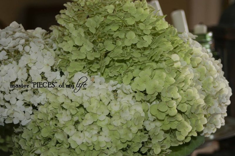 Cutting garden 2 Cutting garden 2