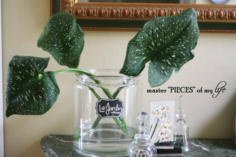 Cutting garden 8 Cutting garden 8