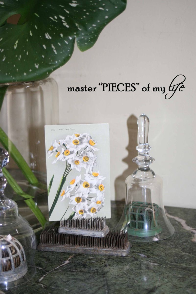 Cutting garden 11 Cutting garden 11