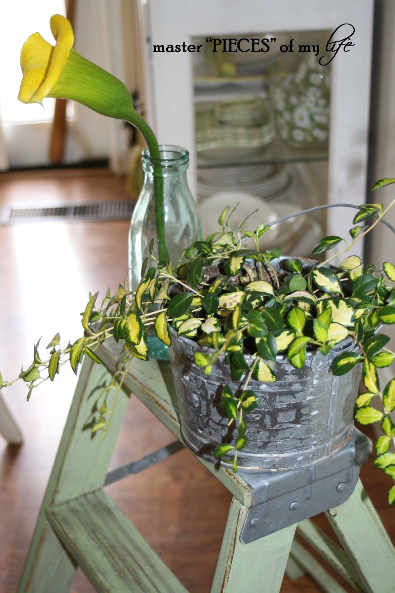 Cutting garden 14 Cutting garden 14