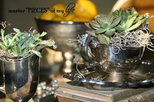 Winter blues1 Winter blues1