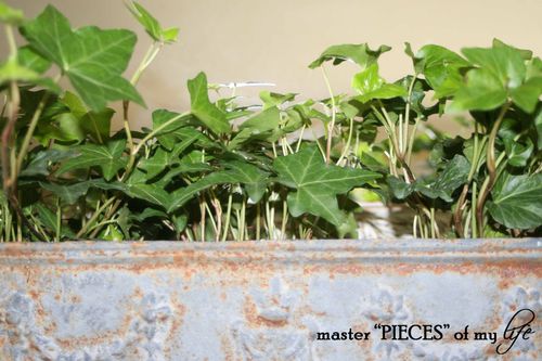 Winter blues7 Winter blues7