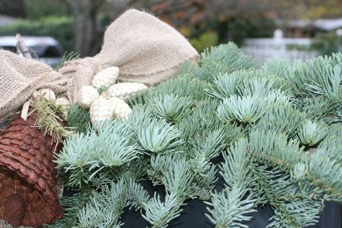 christmastime outside & DIY banner