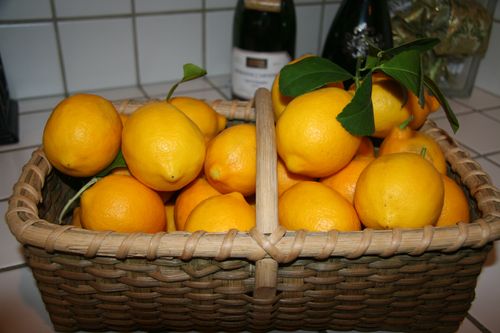 when life gives you lemons….