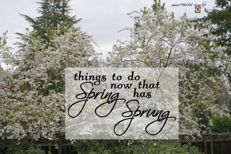 things to do now that Spring has sprung
