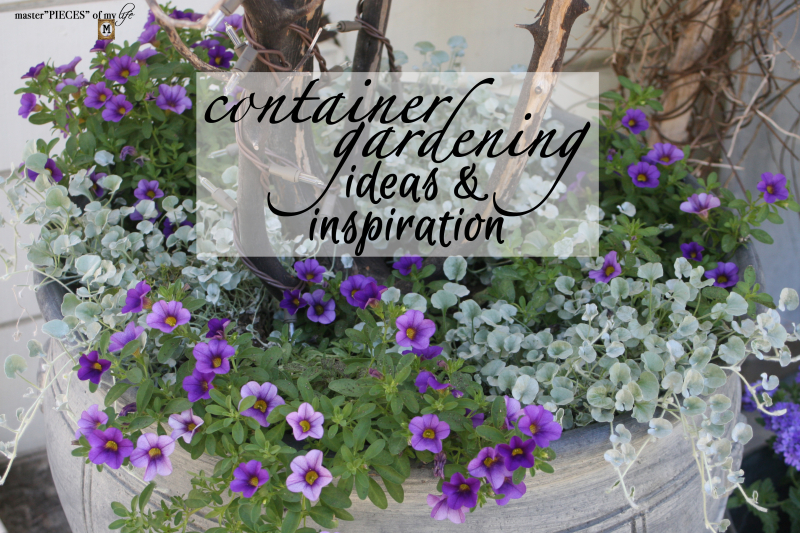 container gardening ideas