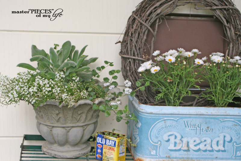 container gardening with vintage tin bread box