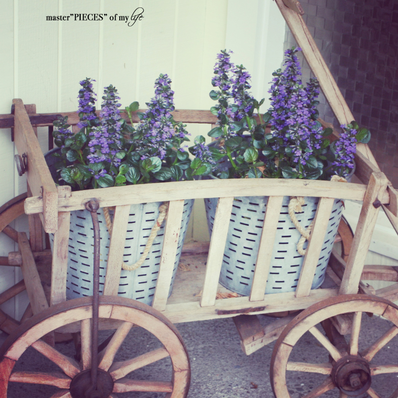 Floral Goat Cart