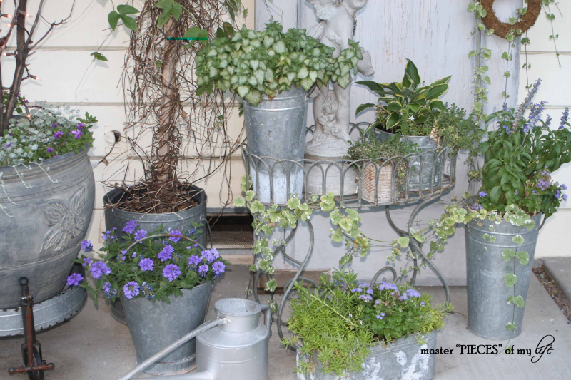 zinc tin container garden