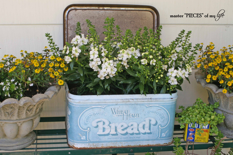 advertising tin container garden