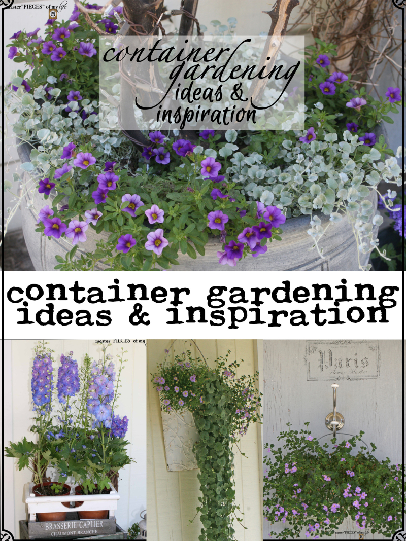 Pinterest container gardening ideas & inspo
