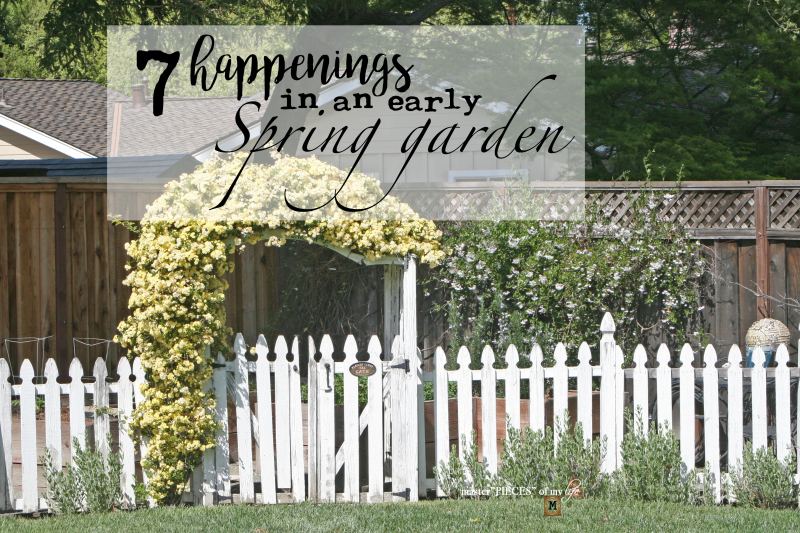 7 happenings spring garden