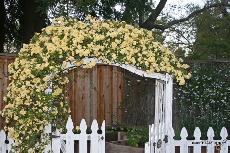 7 happenings spring garden1