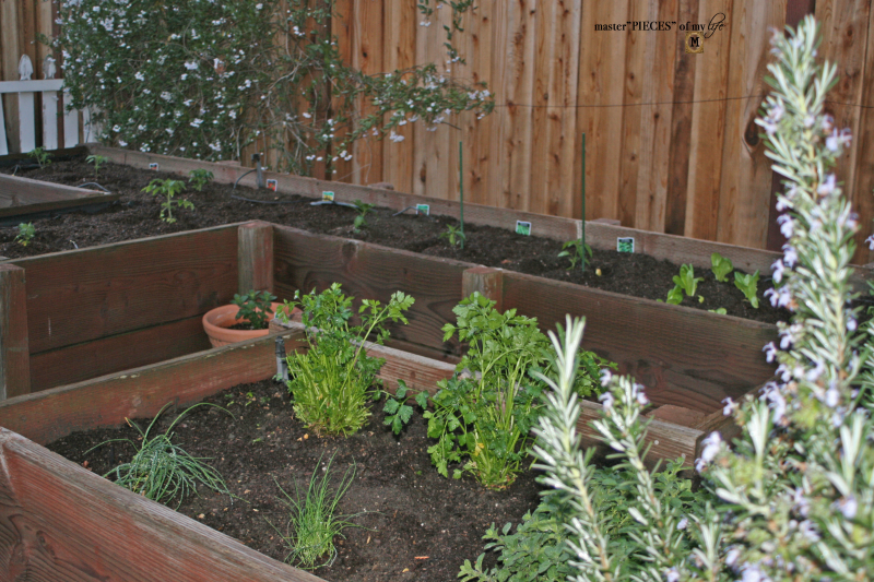 7 happenings spring garden3