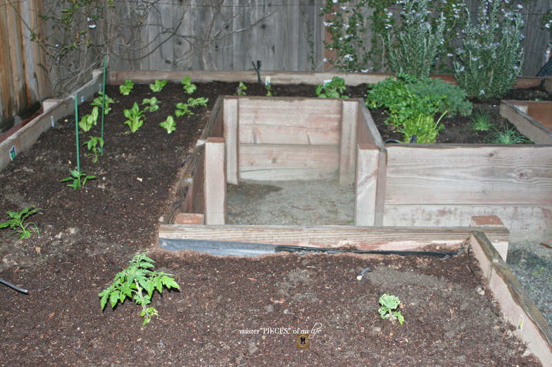 7 happenings spring garden4