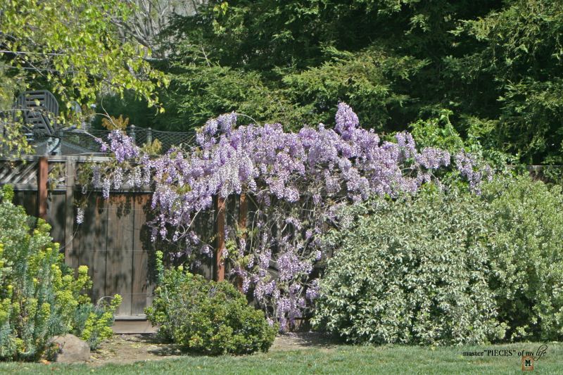 7 happenings spring garden5