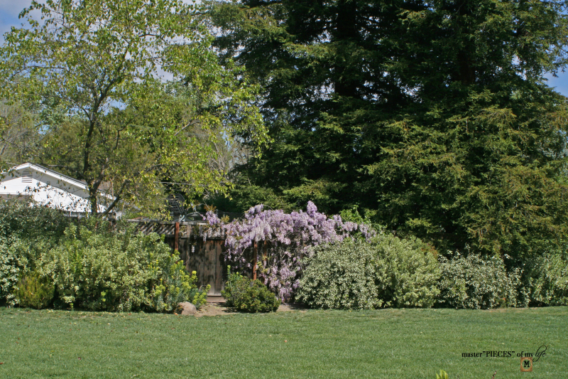 7 happenings spring garden6