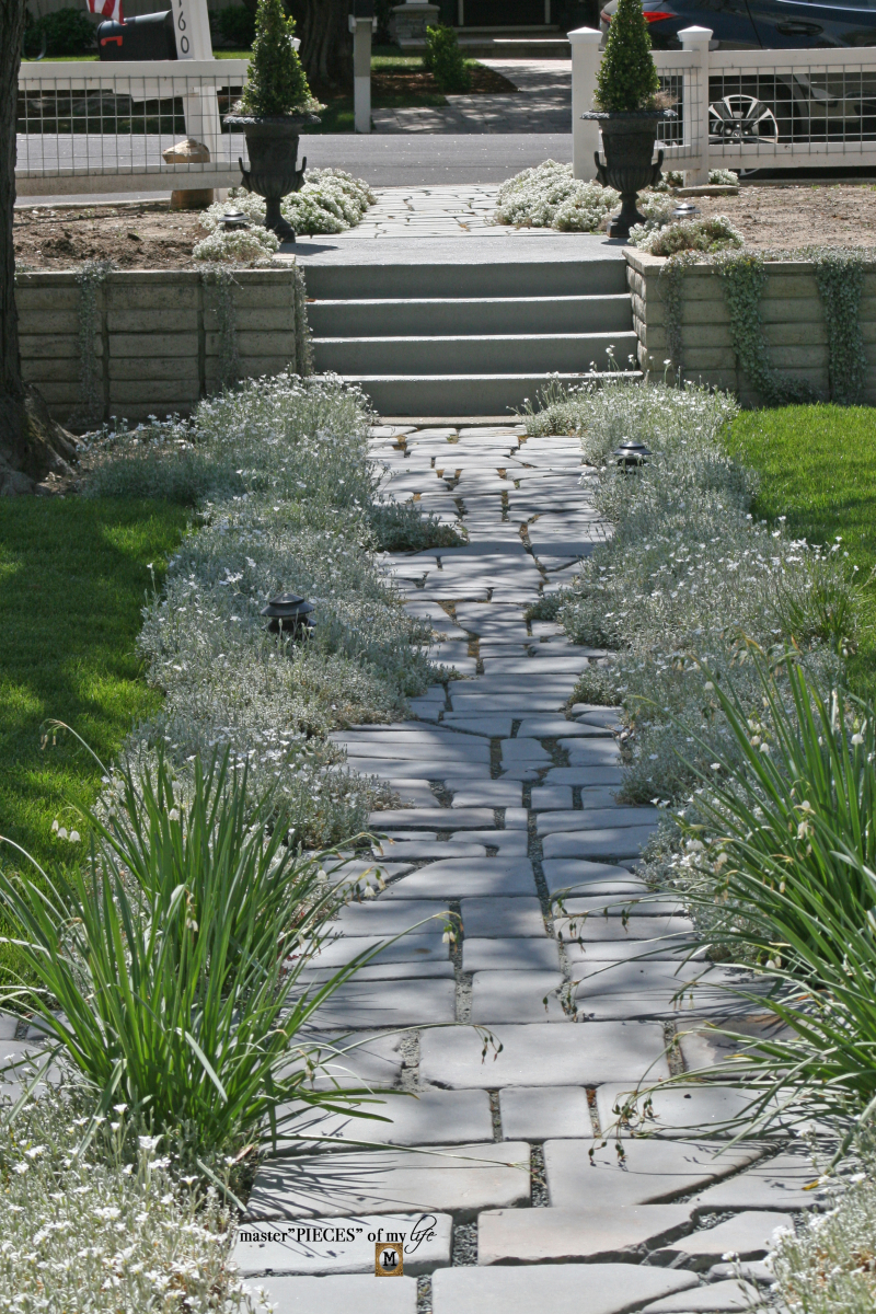 front yard slate pathway with snow in summer and blooming bulbs